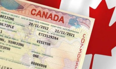 Apply For Canada Visa: 100% Working Guide