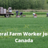 Farmer Is Urgently Needed In Fresh City Farms North York, ON