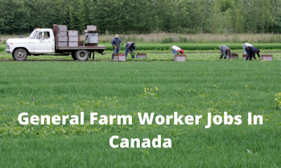 Farmer Is Urgently Needed In Fresh City Farms North York, ON